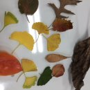 커브스상봉클럽 이미지