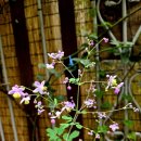 대복사 동종 | [보물지정] 24. 남원 대복사 동종