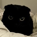 테이스트 하우스 이미지