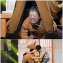 송아지민박 이미지