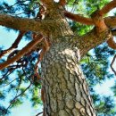 판곡1리 마을회관 이미지