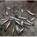 음성경보 이미지