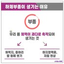 JS케어 이미지