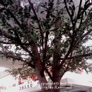 미스터피자 덕천2호점 이미지