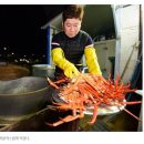 왕돌회수산 이미지