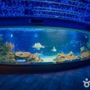 경기도 수원시 영통구 광교호수공원로 이미지