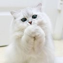 예뻐라 이미지
