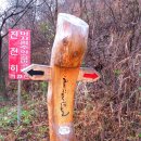 삼화보건지소 네이버블로그