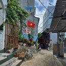 🇻🇳 꾸이년 바이셉 해변 여행, 로컬 어촌마을과 시푸드 맛집 후기