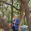 충효예공원 | 청주송씨淸州宋氏 시조 송유충宋有忠 묘원 창원시 동읍 도선산都先山 숭조崇祖 성역화聖域化《3》