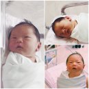 서광모텔 | [제주도산부인과] 서해산부인과 &amp; 프린세스산후조리원 후기, 신생아실, 유축의신세계, 조리원동기