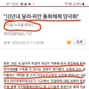 10년내 달러-위안 통화체제 양극화 이미지