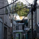 전봇대 앞 네이버블로그