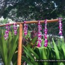 호텔알로하 이미지