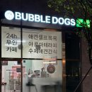 버블독스 부산대점 이미지