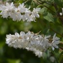 광령초등학교 이미지