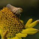 최고당돈가스 의왕점 이미지