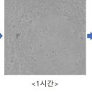 인더스㈜ 이미지