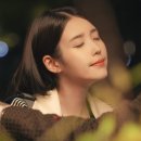 세기스틸