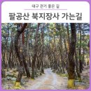 팔공산올레길 1코스 이미지