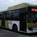 블루시티 이미지