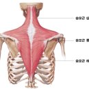 준피티샵 이미지