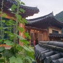 금당한옥펜션 이미지