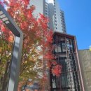 큰곰자리부동산중개그룹 이미지