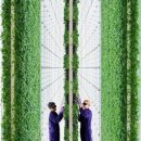 수평농장 이미지