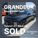 편하고기분좋은잉크사랑(잉크 | [출고 후기] ✨ 압도적 카리스마! 그랜저 HEV ‘블랙 잉크’ 에디션의 완성 ⬛🖋️ (어비스 블랙 펄/블랙...