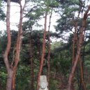 원호 묘역 이미지