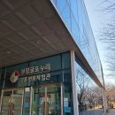 부평 굴포누리 기후변화체험관 | 부평 굴포누리 기후변화체험관 리뷰