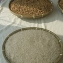 서연농장 이미지