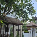 블리스(Bliss) | 발리 우붓 숙소 사바나 블리스(Sabana bliss) 후기