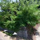 남해 월포펜션 이미지