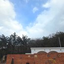 새아침펜션 | [전북/고창] 고창 델루나 애견동반 펜션 후기