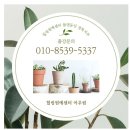 영주시종합사회복지관 | 영주시종합사회복지관 노인 어르신 원예 활동 행운이 날아오르는 '호접란화분'