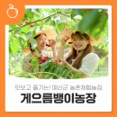 게으름뱅이농장