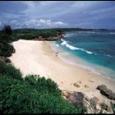 다온메드 이미지