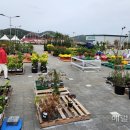 순천만가든 이미지