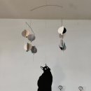 MOGAMOGA 네이버블로그