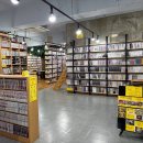 울산 성남동 놀거리 만화카페 마나보나 솔직후기