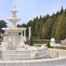 부흥로 메타세콰이아길 | 파주 벽초지수목원 이국적인 매력까지 담은 봄 나들이 여행