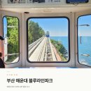 해운대 블루라인파크 스카이캡슐 해변열차 오픈런 현장구매팁 예매 방법 추천코스ㅣ부산 가볼만한곳