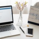 개화펜션 | 🌸 3월 봄꽃 여행 숙소 예약 시 반드시 체크해야 할 개화 시기 변동과 취소 위약금 방어 기준