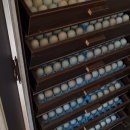 천구농장 이미지