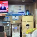 짱아네모밀기계우동