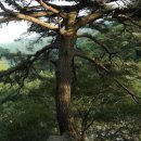 거림민박 이미지