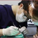 동래보스톤치과의원 이미지