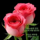 세월아 가지를 마라 / 예향 이강흥 이미지